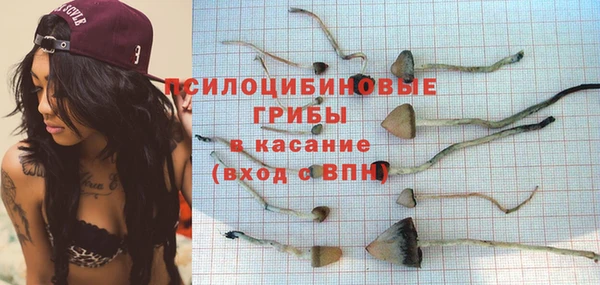 шишки Валдай
