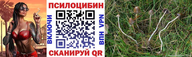 Псилоцибиновые грибы прущие грибы  цена   Лянтор 